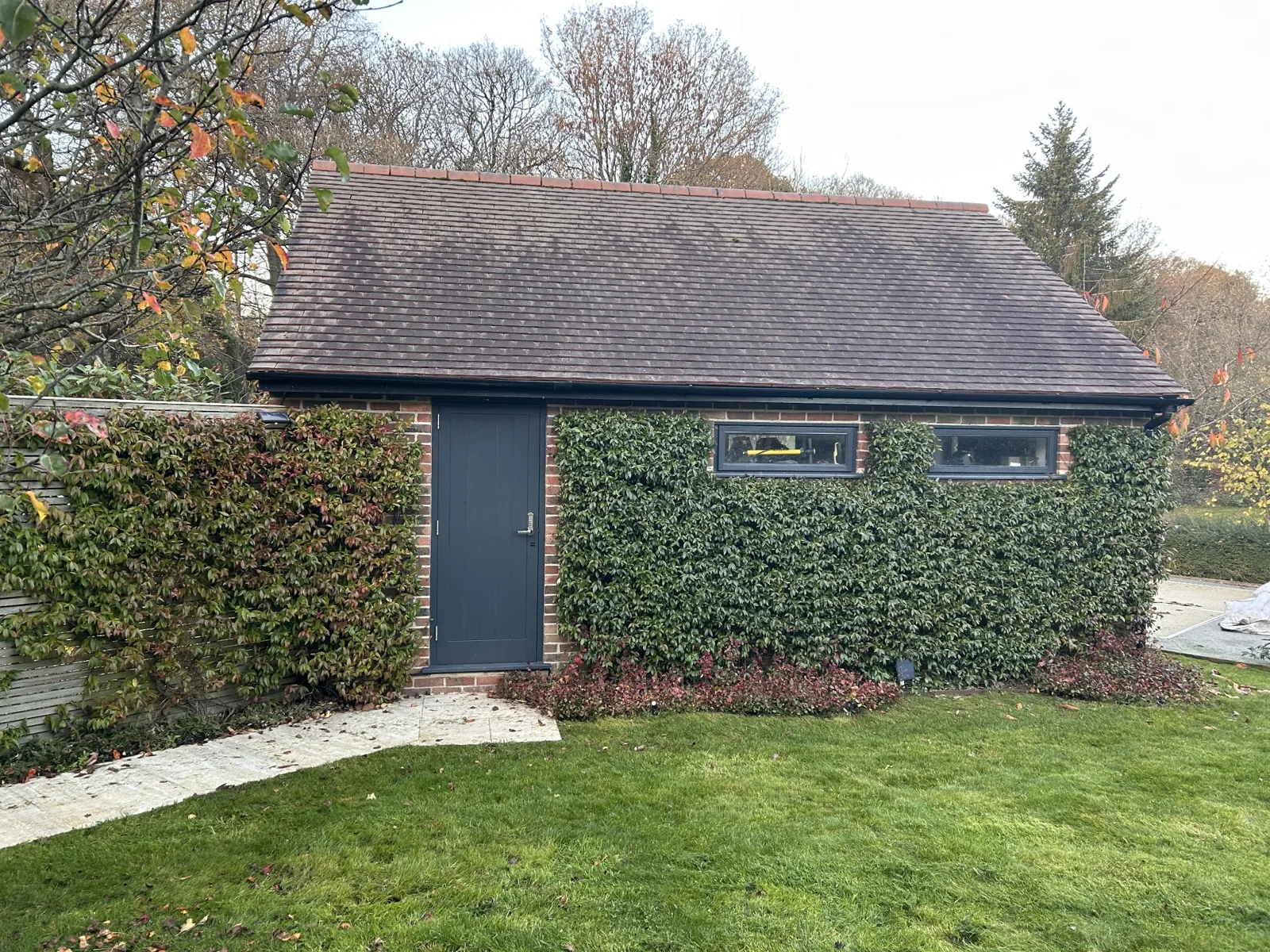 Keeping Jasmine neat and tidy on a garage
