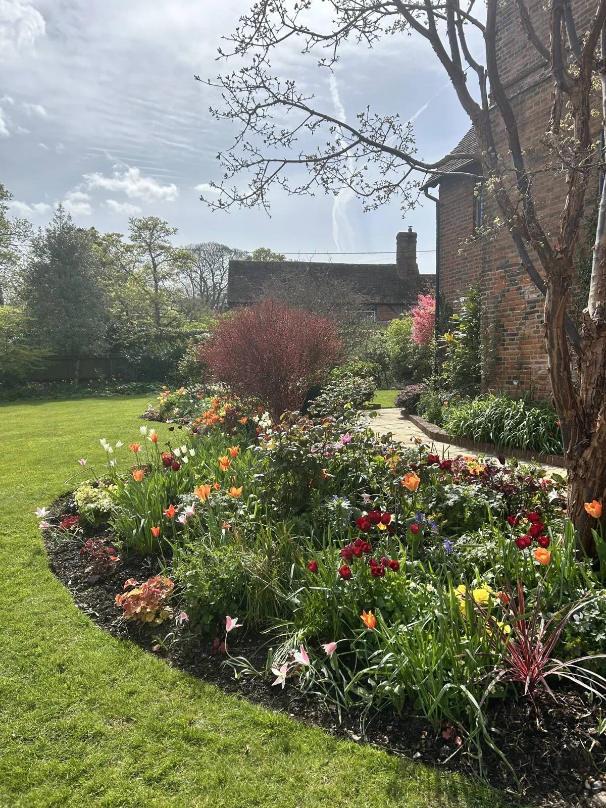 Hot border in Spring in Long Sutton