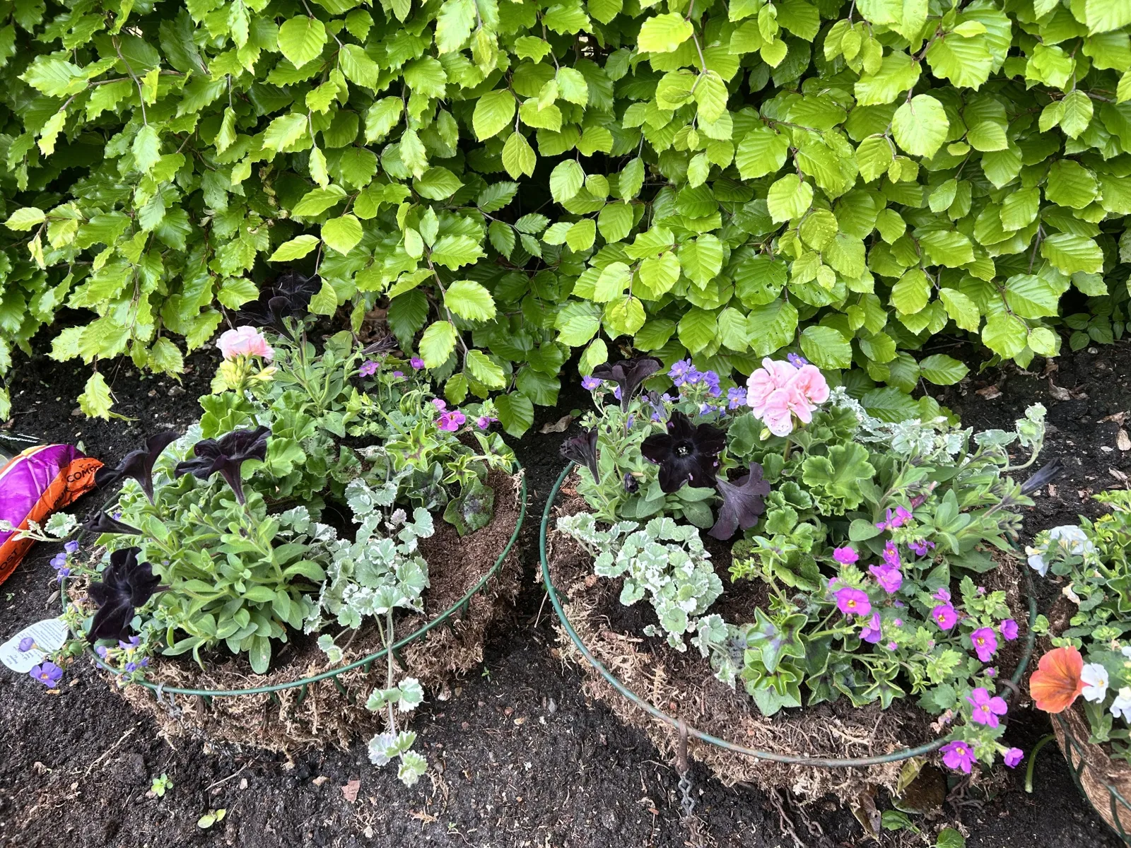 Purple and pink coloured baskets