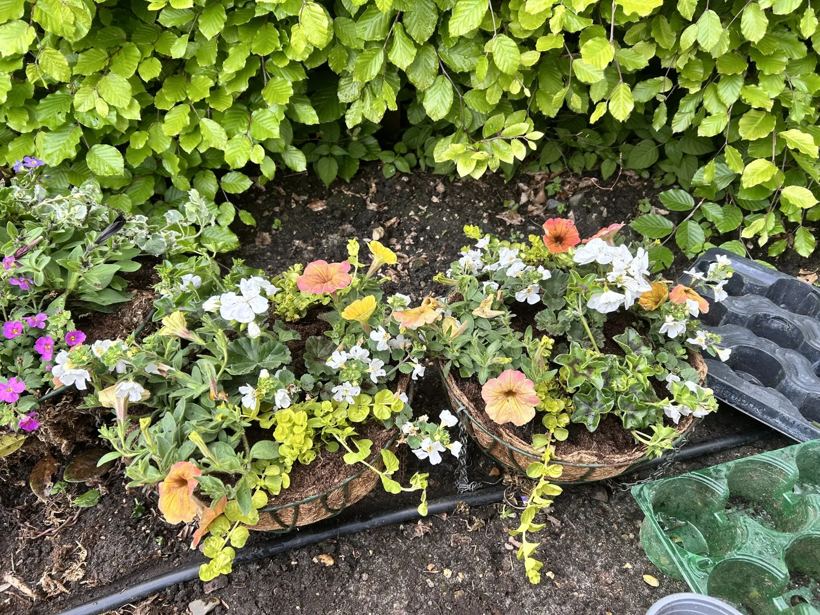 Orange and white coloured baskets