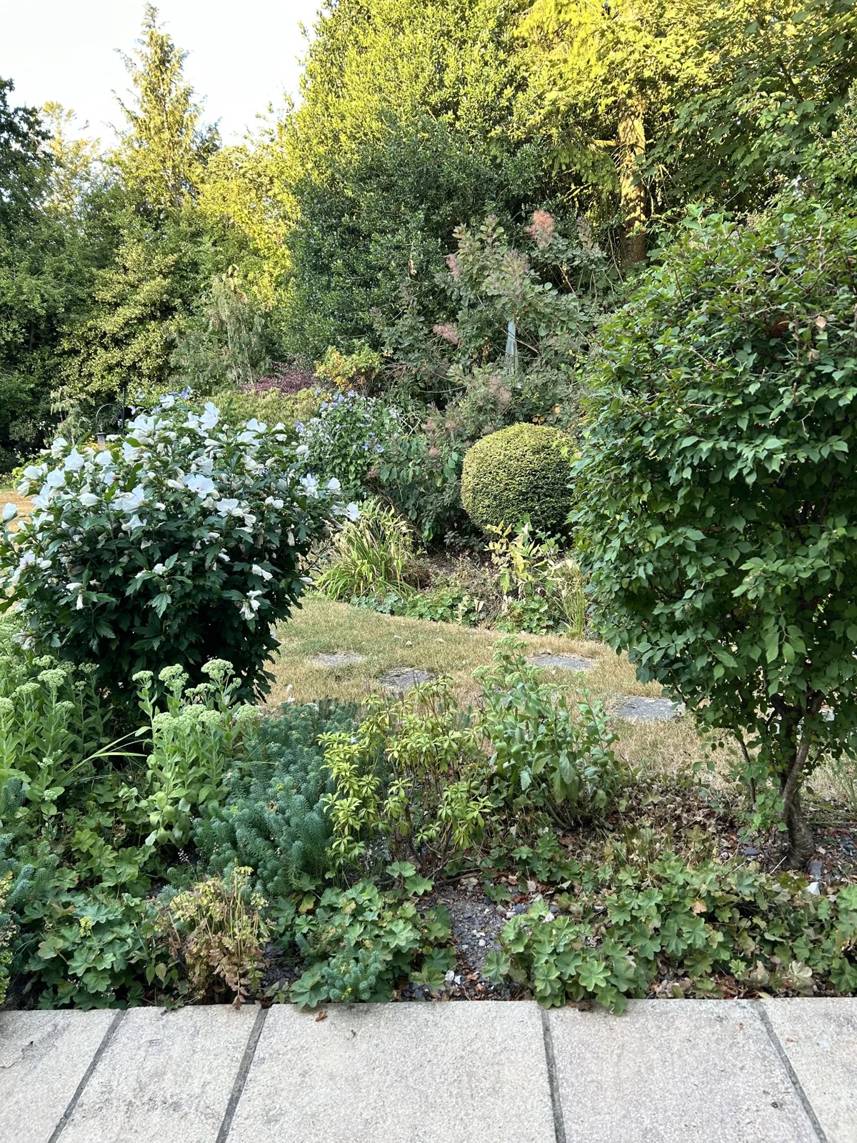 Keeping the garden wildly cared for in Alton