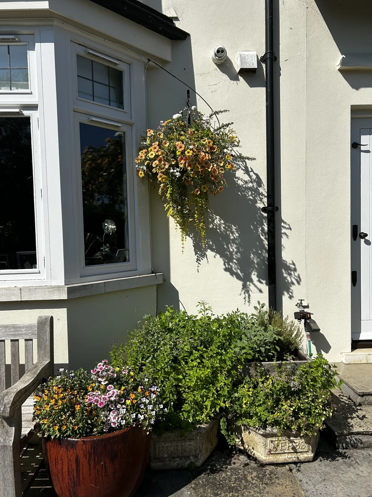 Hanging basket and a happy herb garden in Shiplake