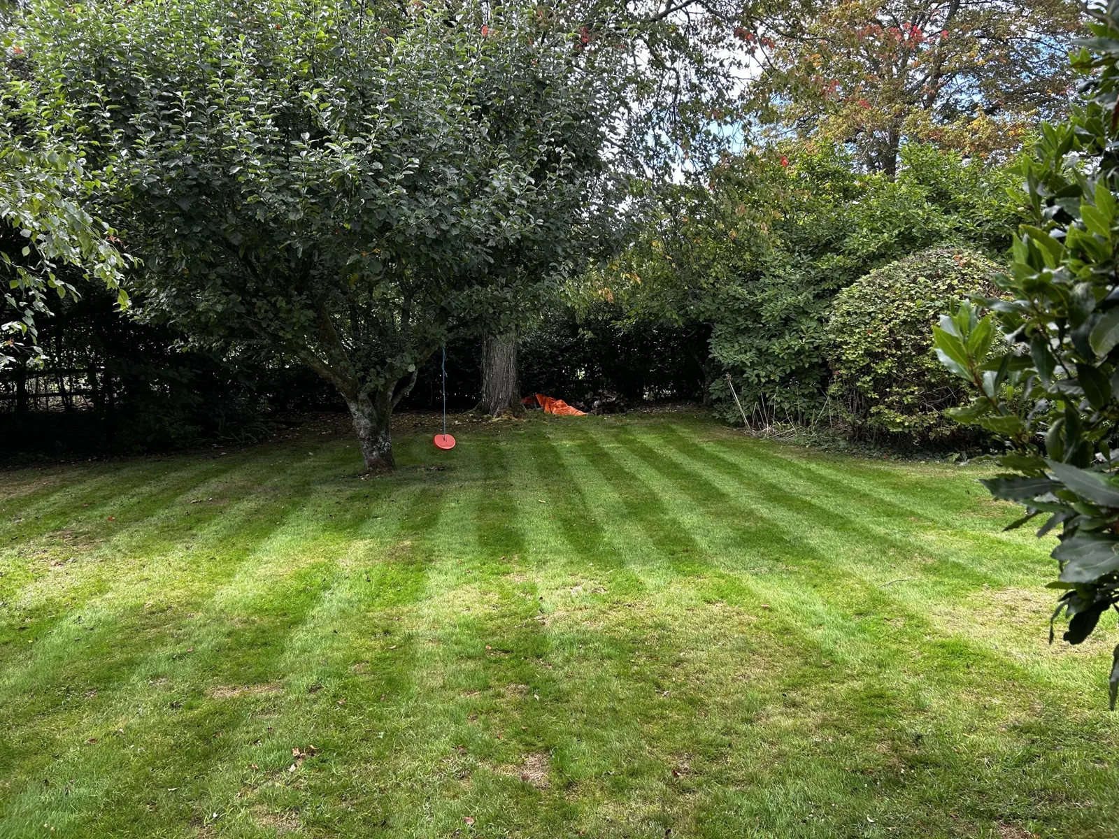 Lawn in Nettlebed