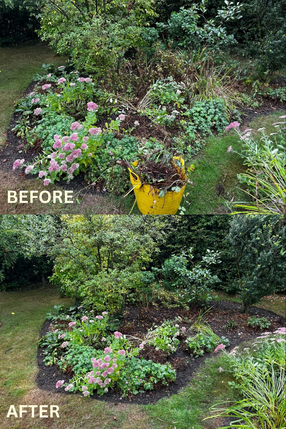 Flower border care, before and after garden care