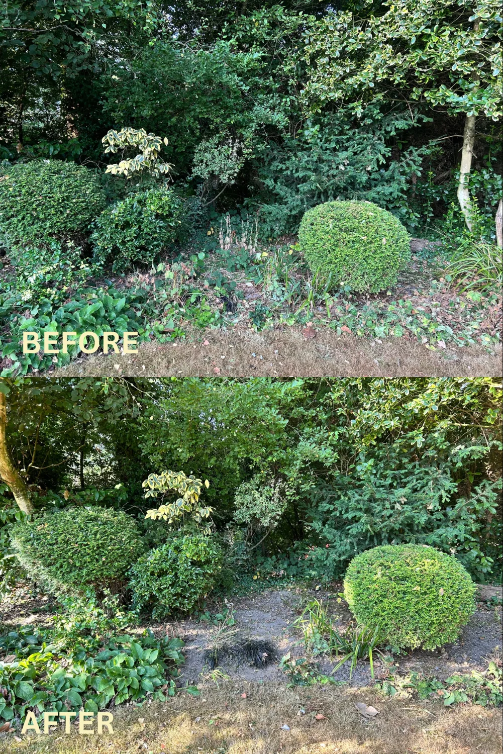 Shaping established borders, before and after garden care