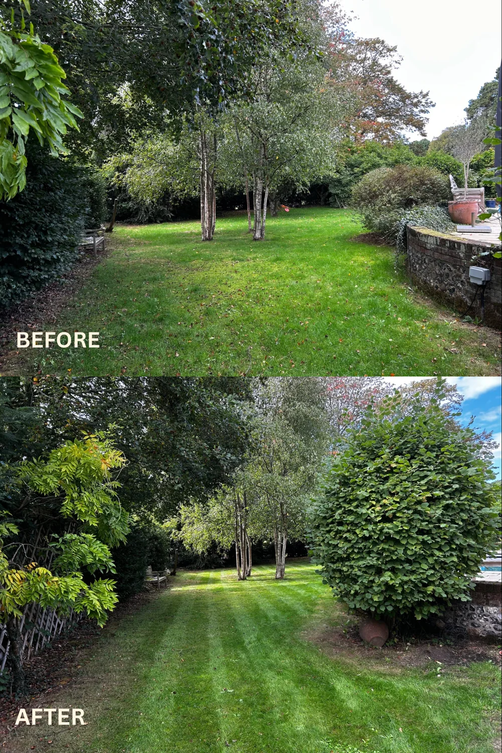 Lawn care, before and after garden care