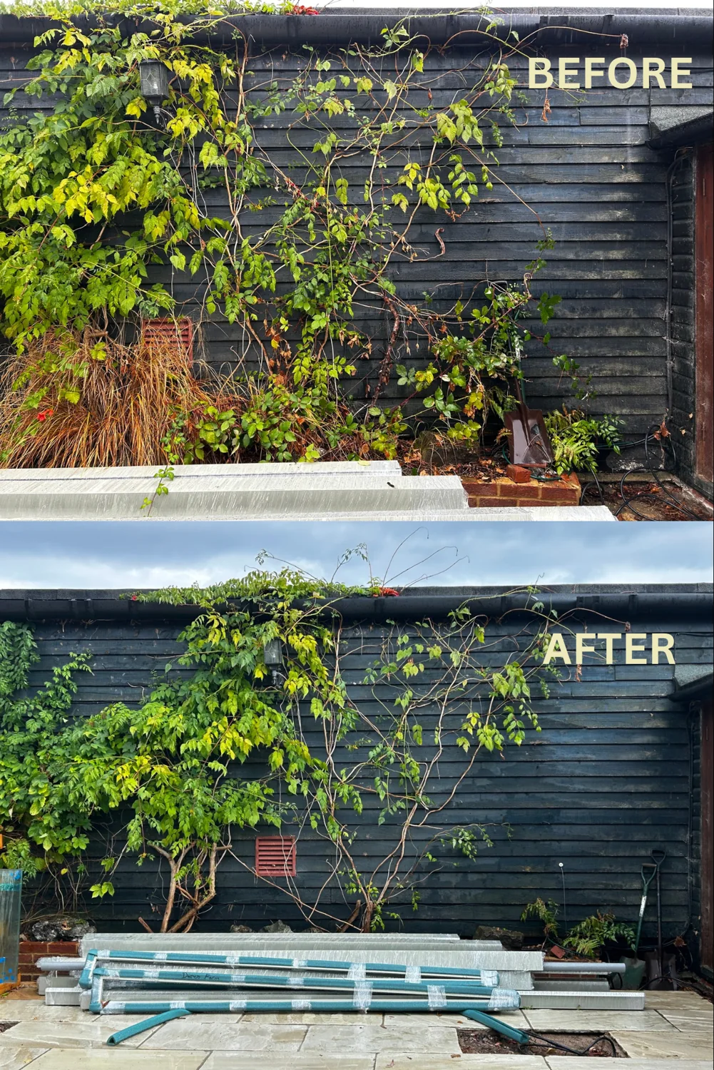 Climbers and wall planting, before and after garden care