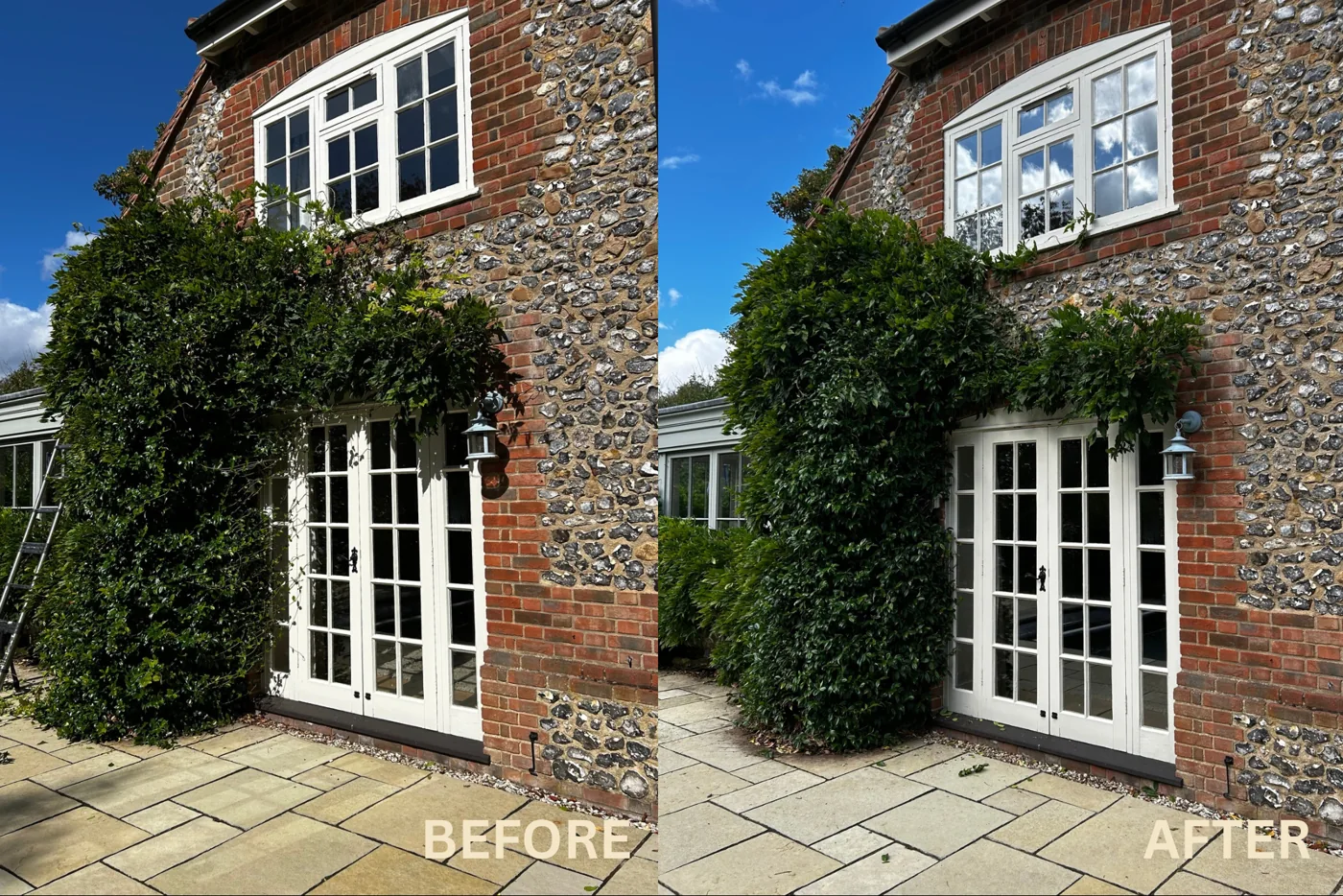 Climbers around the doorway, before and after garden care
