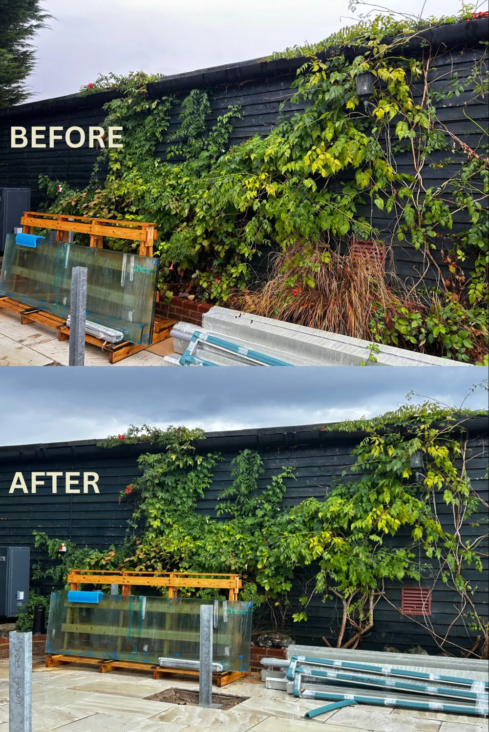 Patio planting care, before and after garden care